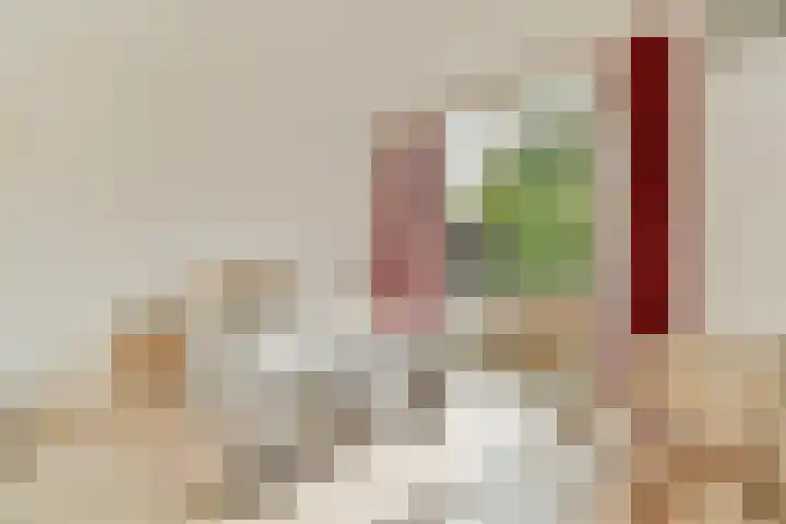 Gerrit van Heemskerklaan 6 Amstelveen thumbnail 15