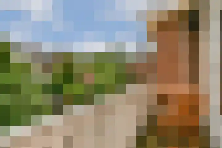 Gerrit van Heemskerklaan 6 Amstelveen thumbnail 18
