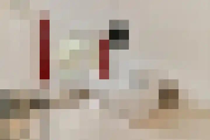 Gerrit van Heemskerklaan 6 Amstelveen thumbnail 21