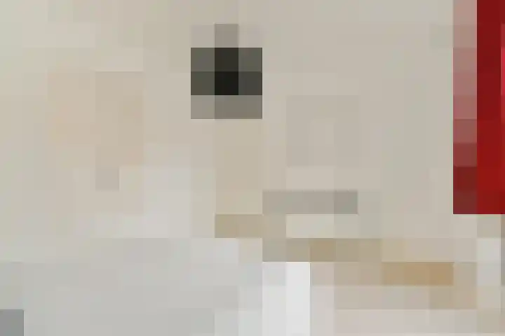 Gerrit van Heemskerklaan 6 Amstelveen thumbnail 22