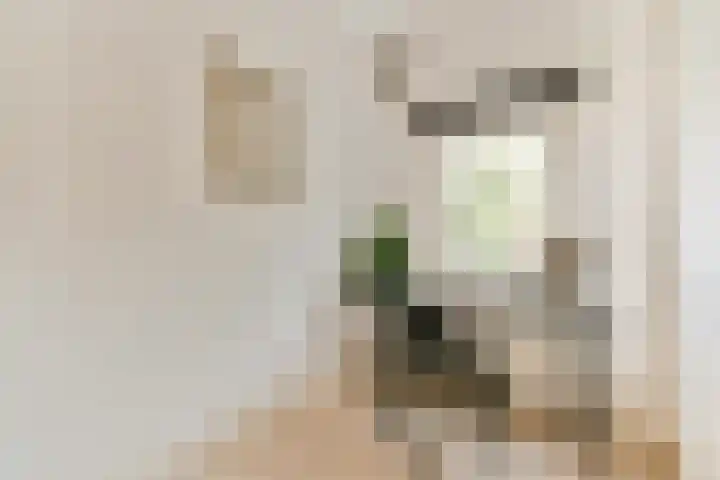 Gerrit van Heemskerklaan 6 Amstelveen thumbnail 23