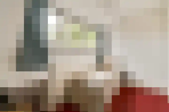 Gerrit van Heemskerklaan 6 Amstelveen thumbnail 29
