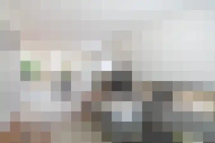 Gerrit van Heemskerkstraat 25 Oosthuizen thumbnail 12