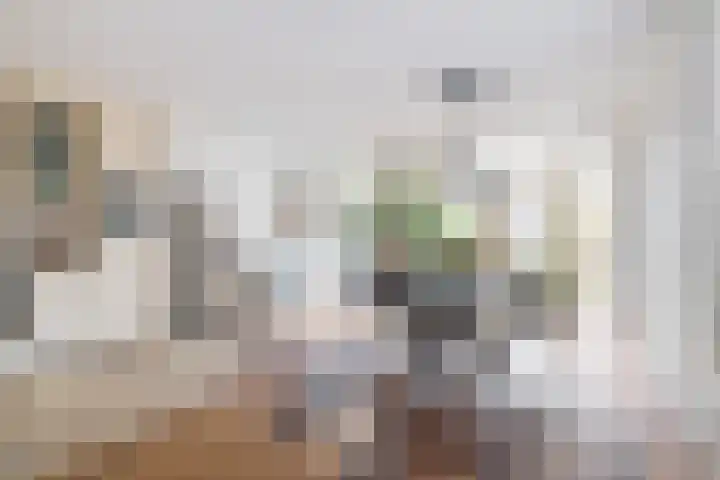 Gerrit van Heemskerkstraat 25 Oosthuizen thumbnail 13