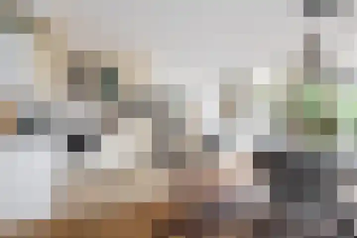 Gerrit van Heemskerkstraat 25 Oosthuizen thumbnail 18