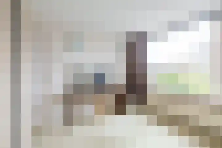 Gerrit van Heemskerkstraat 25 Oosthuizen thumbnail 27