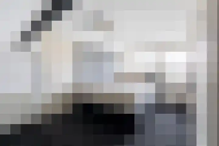 Gerrit van Heemskerkstraat 25 Oosthuizen thumbnail 33