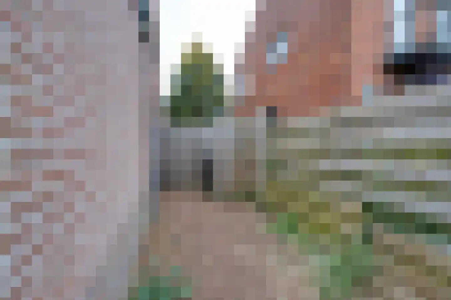 Gerrit van Heemskerkstraat 6 Oosthuizen thumbnail 26