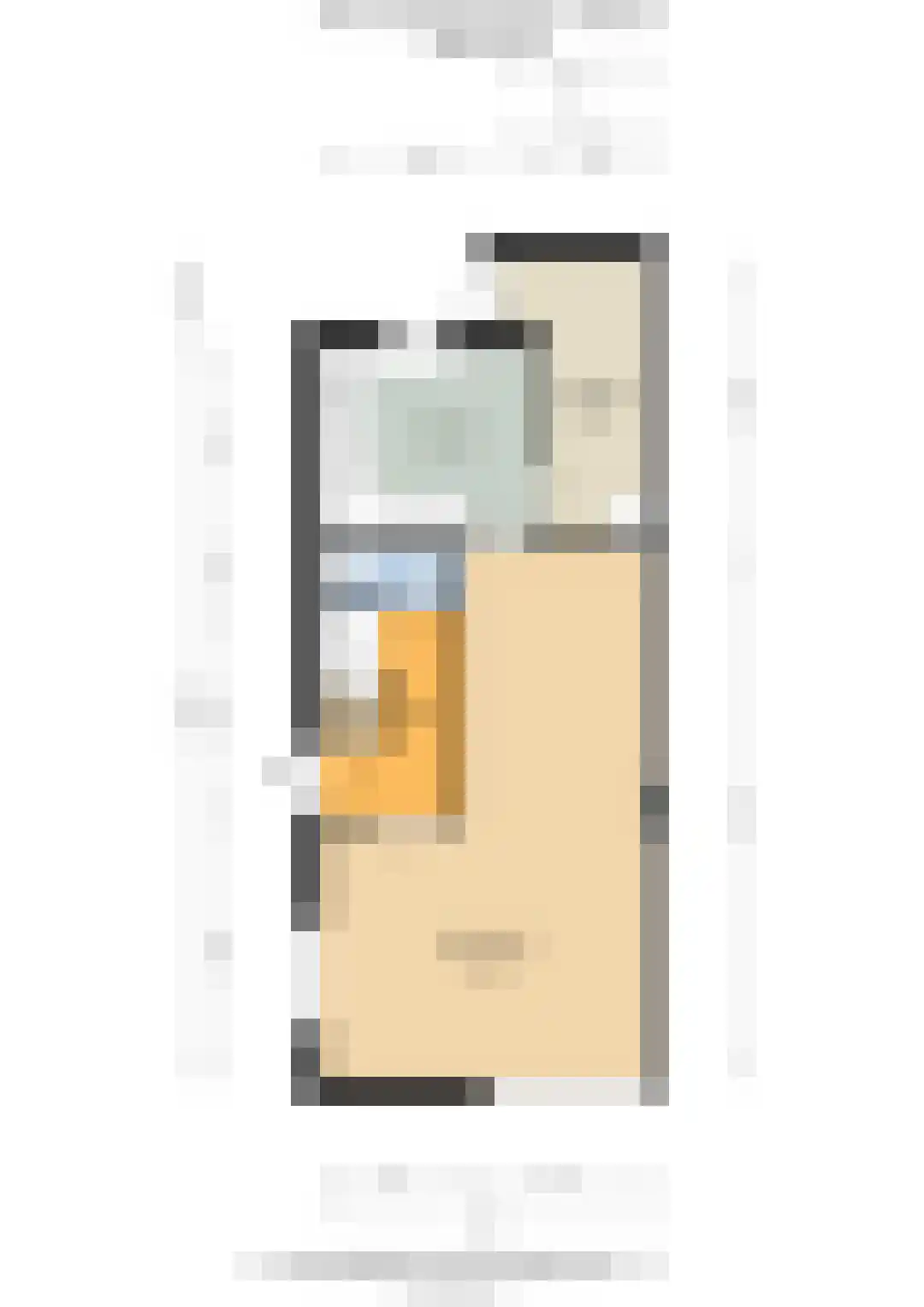 Gerrit van Heemskerkstraat 6 Oosthuizen thumbnail 60