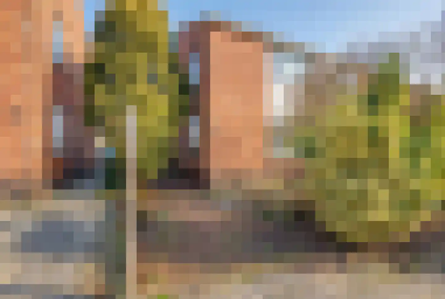 Gerrit van Heemskerkstraat 6 Oosthuizen thumbnail 8