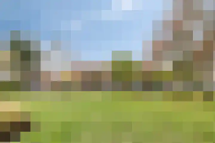 Gerrit van Stellingwerfstraat 1 Amersfoort thumbnail 25