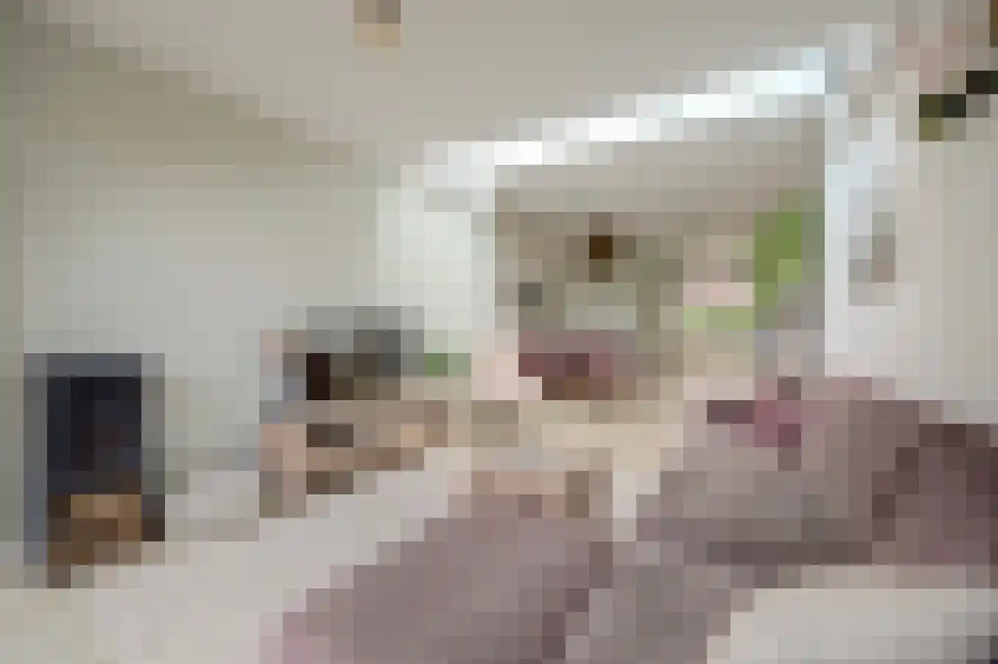 Gerrit van Stellingwerfstraat 70 Amersfoort thumbnail 12
