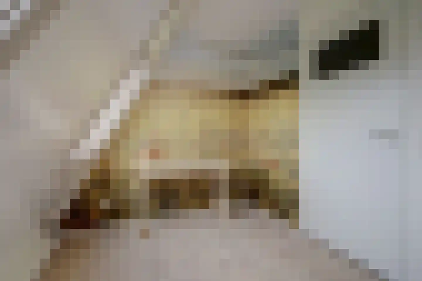 Gerrit van Stellingwerfstraat 70 Amersfoort thumbnail 32