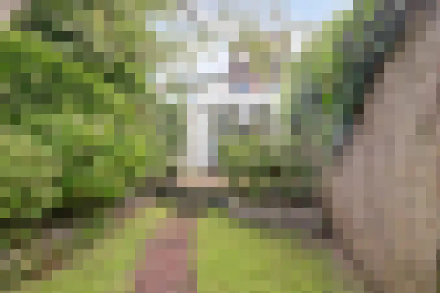 Gerrit van Stellingwerfstraat 70 Amersfoort thumbnail 35