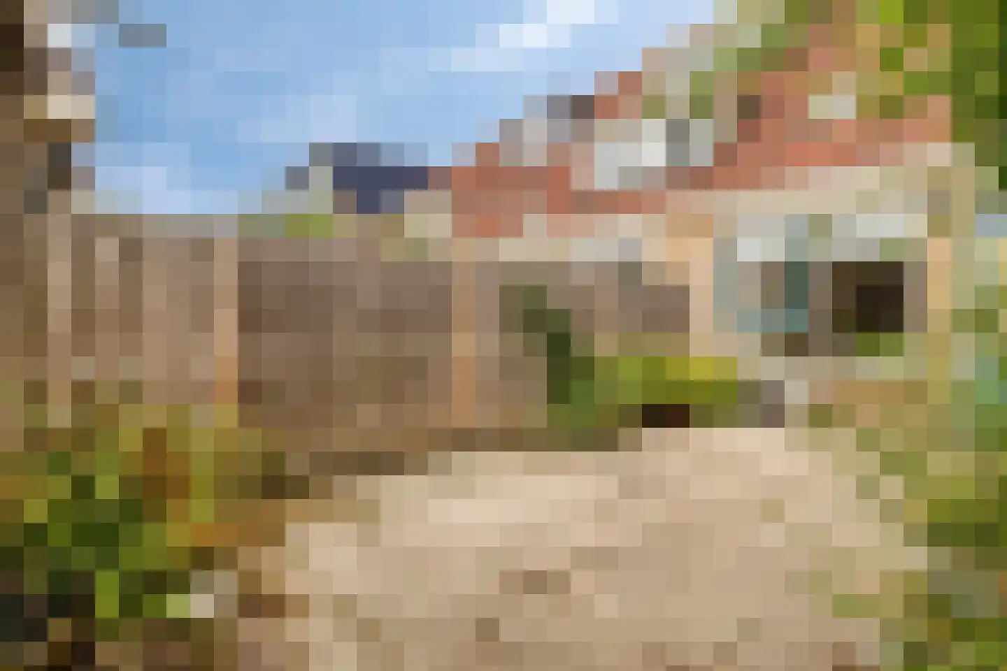 Gerrit van Stellingwerfstraat 83 Amersfoort thumbnail 22