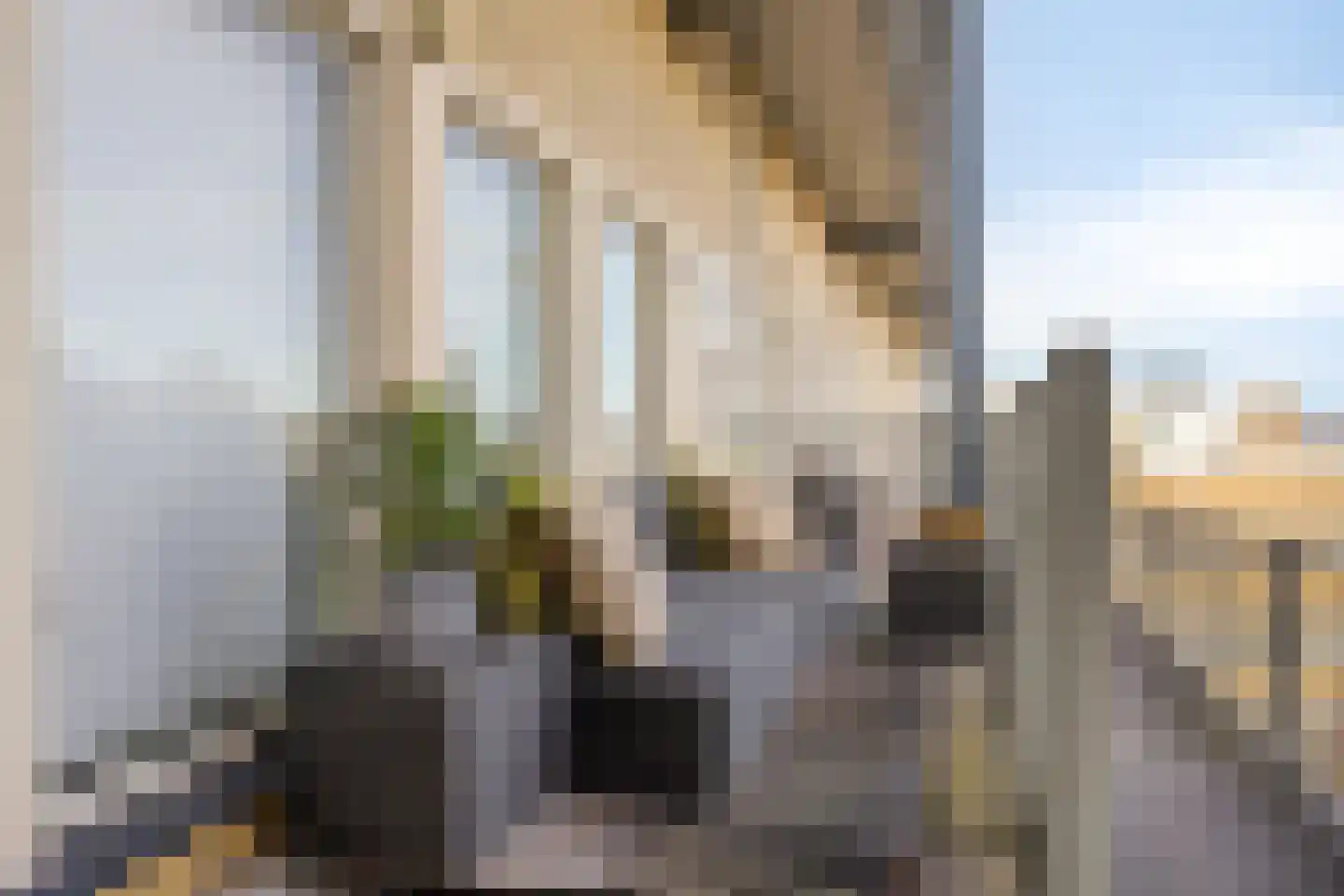 Gerrit Verboonstraat 48 Schiedam thumbnail 22