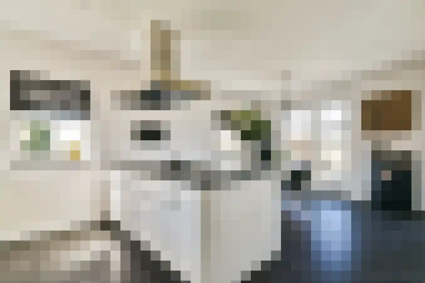Gerrit Verrijstkade 24 Rotterdam thumbnail 16