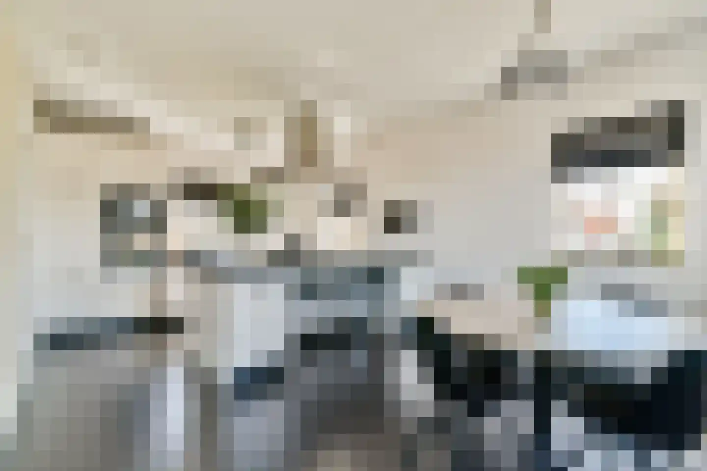 Gerrit Verrijstkade 24 Rotterdam thumbnail 17