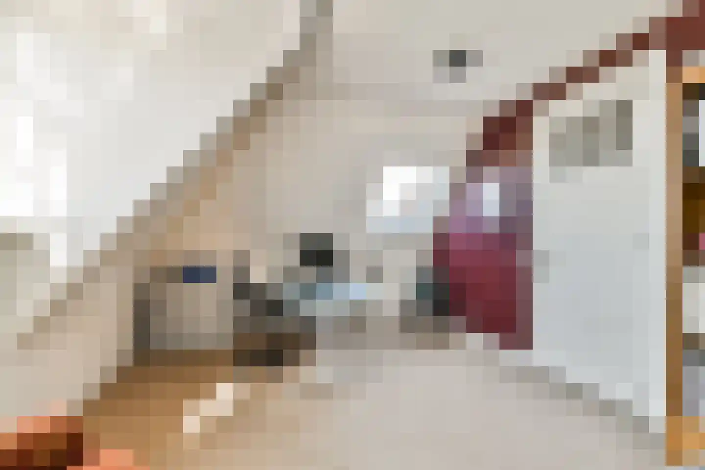 Gerrit Verrijstkade 24 Rotterdam thumbnail 39
