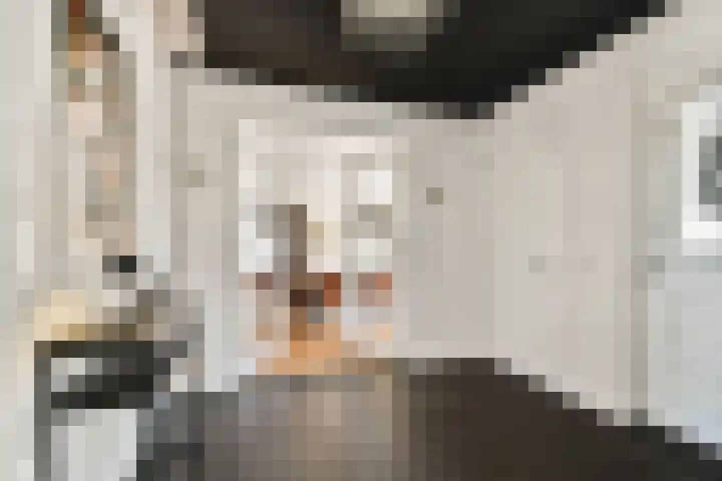 Gerrit Verrijstkade 24 Rotterdam thumbnail 4