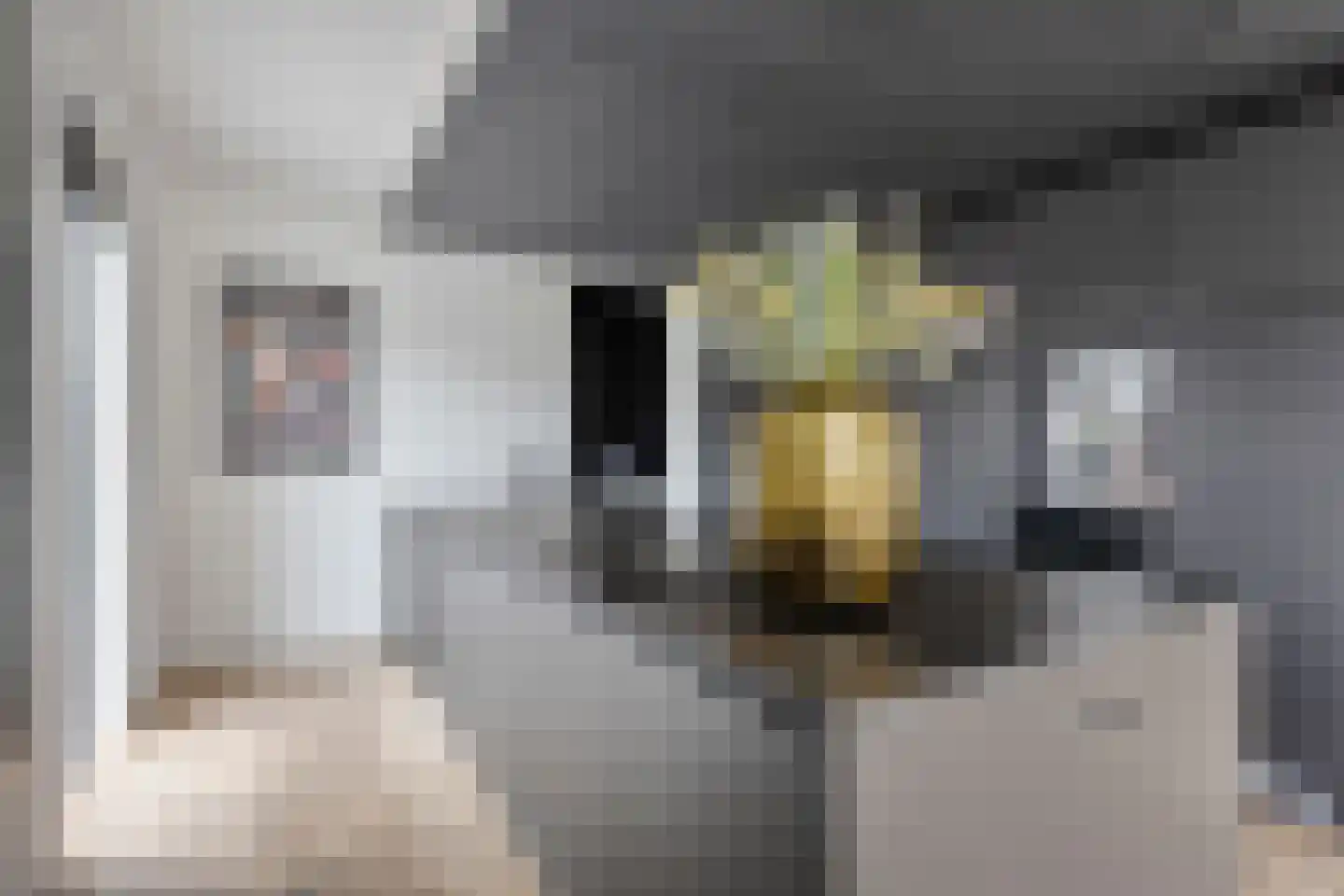 Gerrit Verrijstkade 48 Rotterdam thumbnail 10