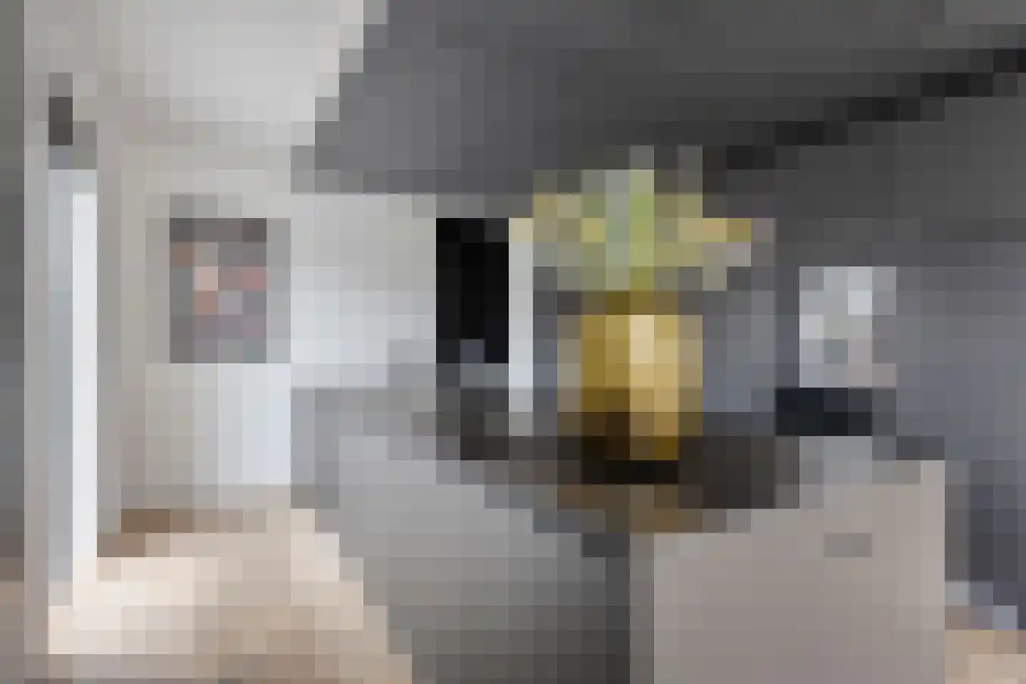 Gerrit Verrijstkade 48 Rotterdam thumbnail 14