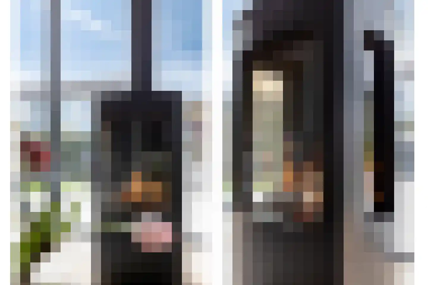 Gerrit Verrijstkade 48 Rotterdam thumbnail 6