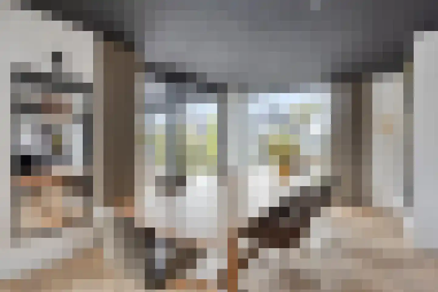 Gerrit Verrijstkade 48 Rotterdam thumbnail 7