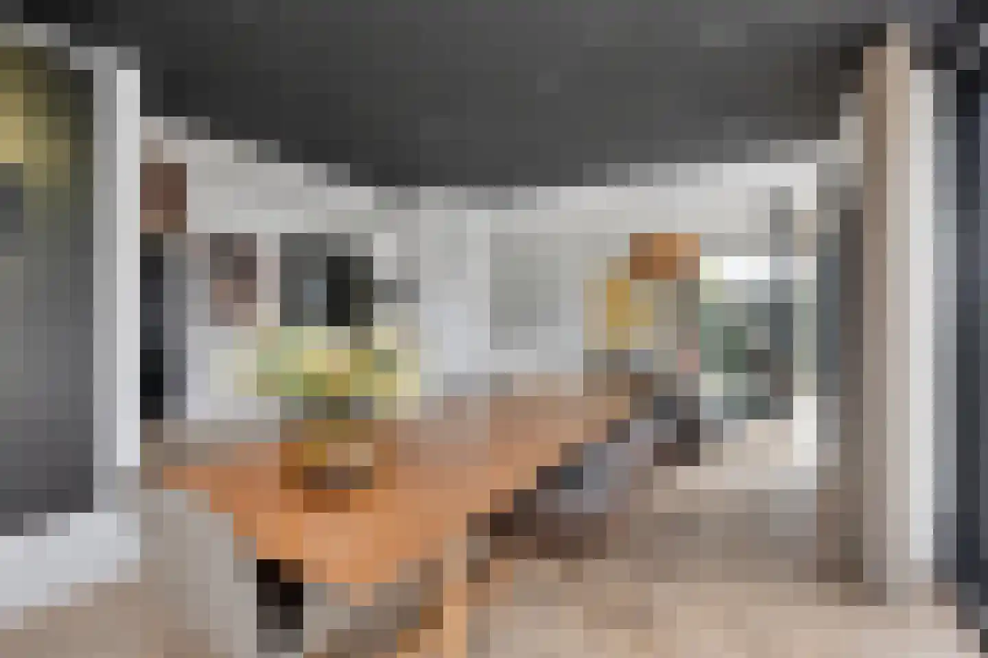 Gerrit Verrijstkade 48 Rotterdam thumbnail 8