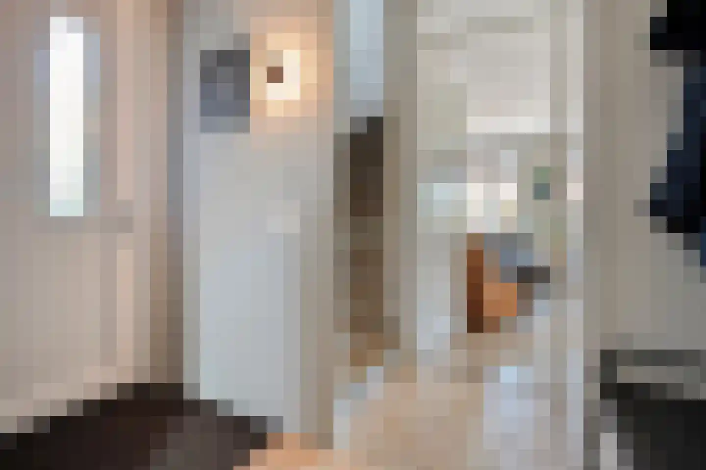 Gerrit Woltersomstraat 5 Coevorden thumbnail 12