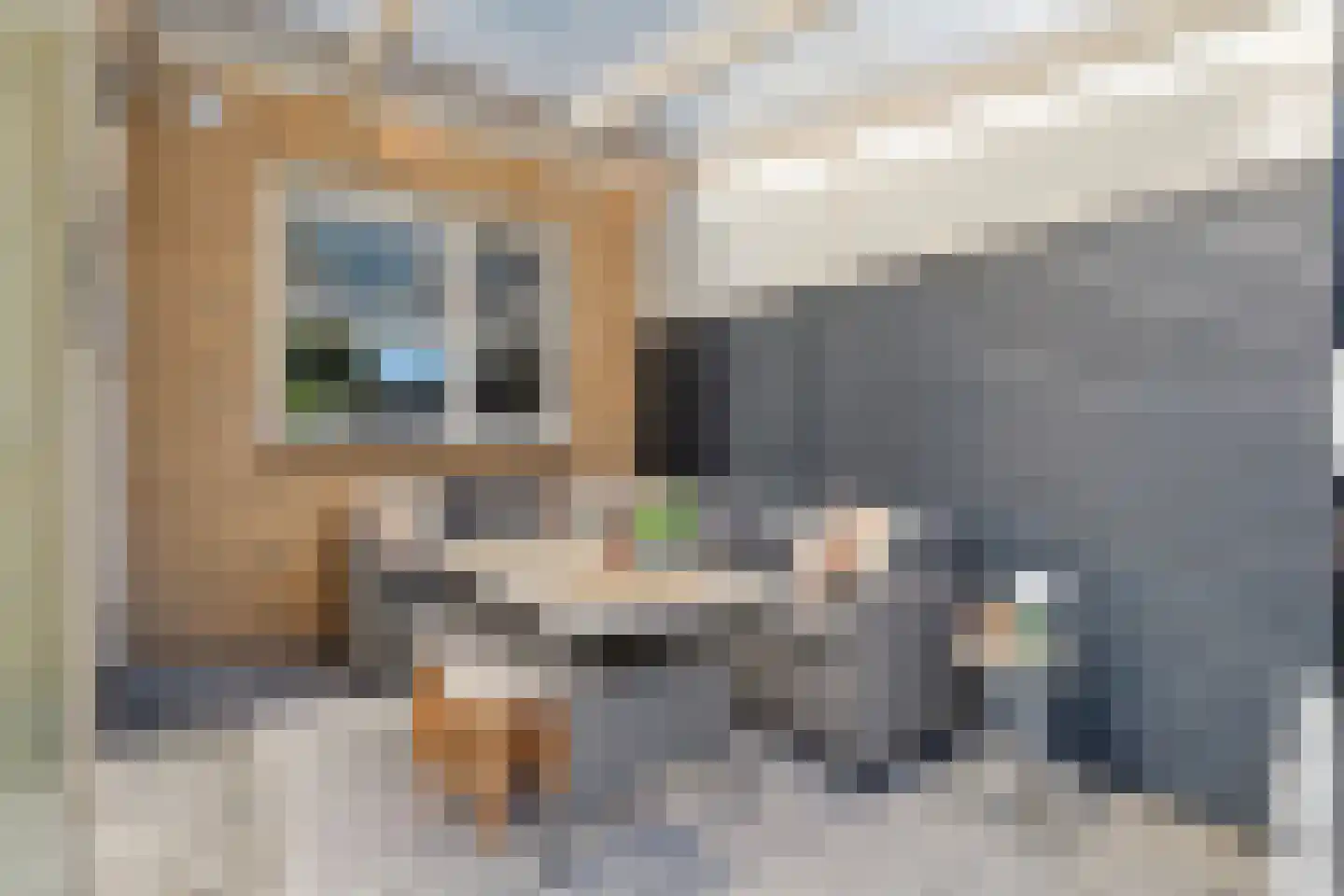 Gerrit Woltersomstraat 5 Coevorden thumbnail 41