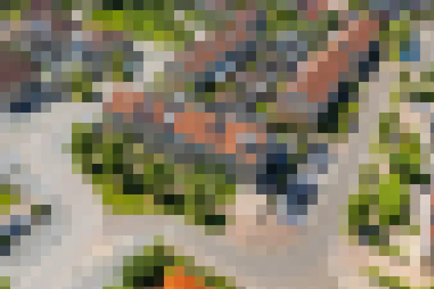 Gerrit Woltersomstraat 5 Coevorden thumbnail 6