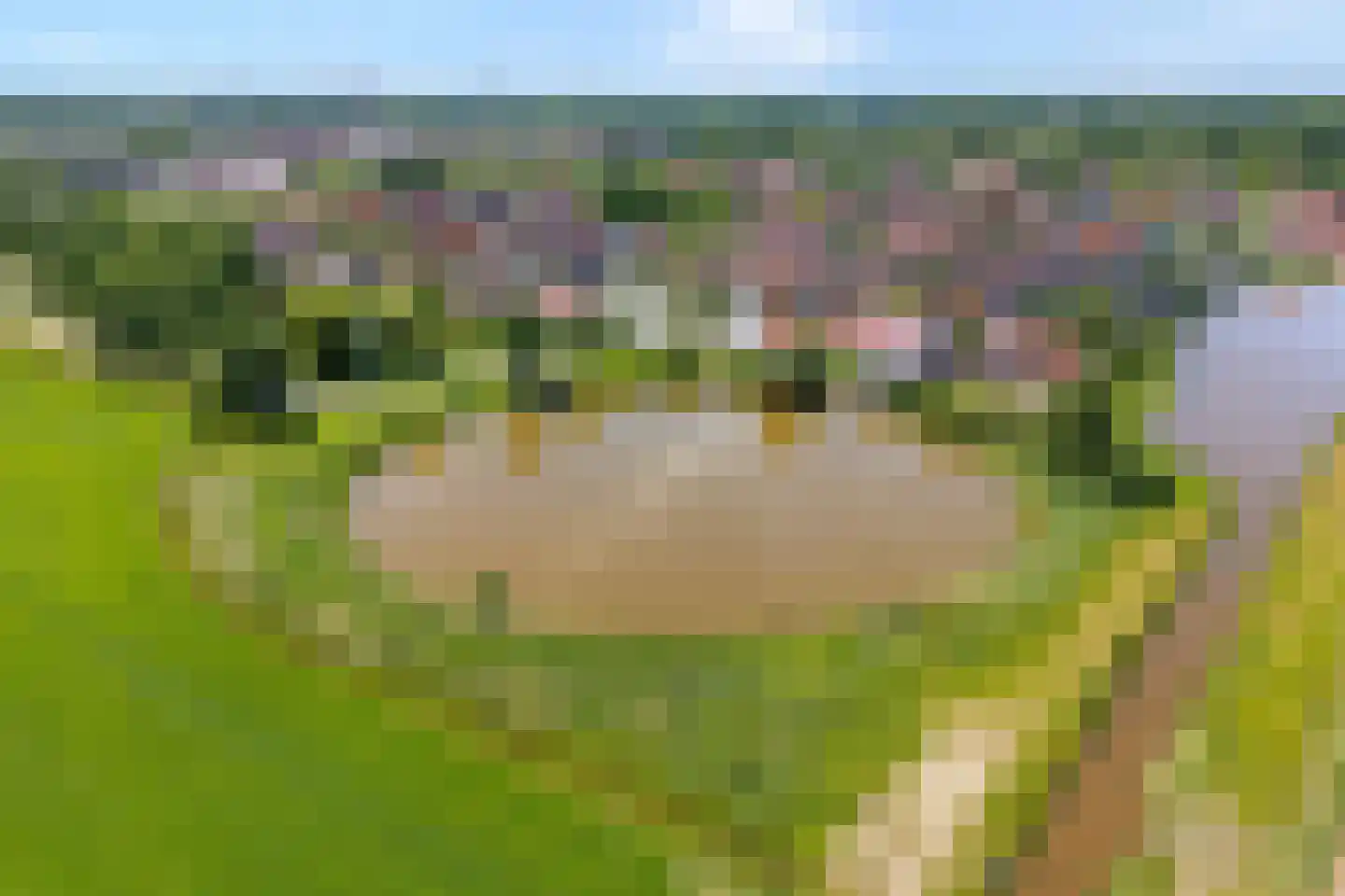 Gerrit Woltersomstraat 5 Coevorden thumbnail 8