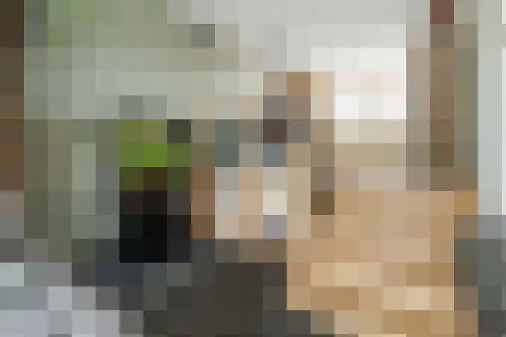 Gerrit Zaslaan 1 Montfoort thumbnail 12
