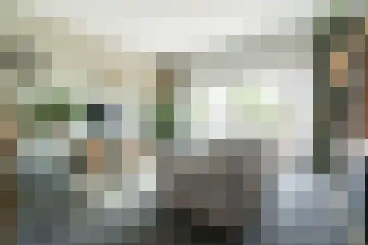 Gerrit Zaslaan 1 Montfoort thumbnail 15
