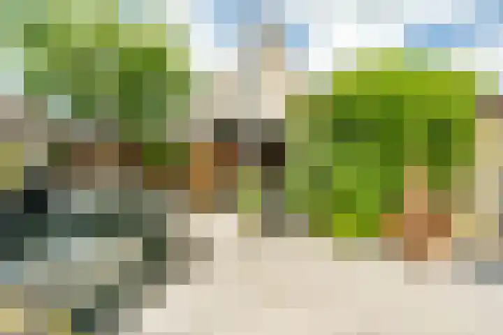 Gerrit Zaslaan 1 Montfoort thumbnail 17