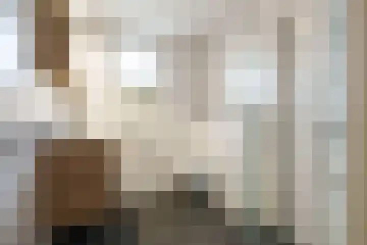Gerrit Zaslaan 1 Montfoort thumbnail 23