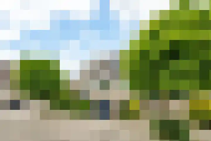 Gerrit Zaslaan 1 Montfoort thumbnail 4