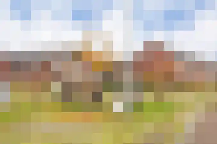 Gerritje van Beekstraat 25 Putten thumbnail 34
