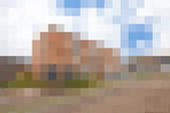 Gerritje van Beekstraat 25 Putten thumbnail 7