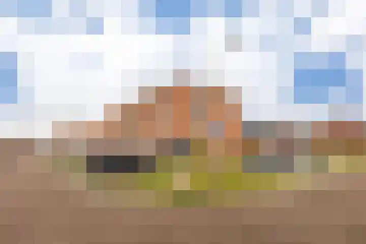 Gerritje van Beekstraat 25 Putten thumbnail 8