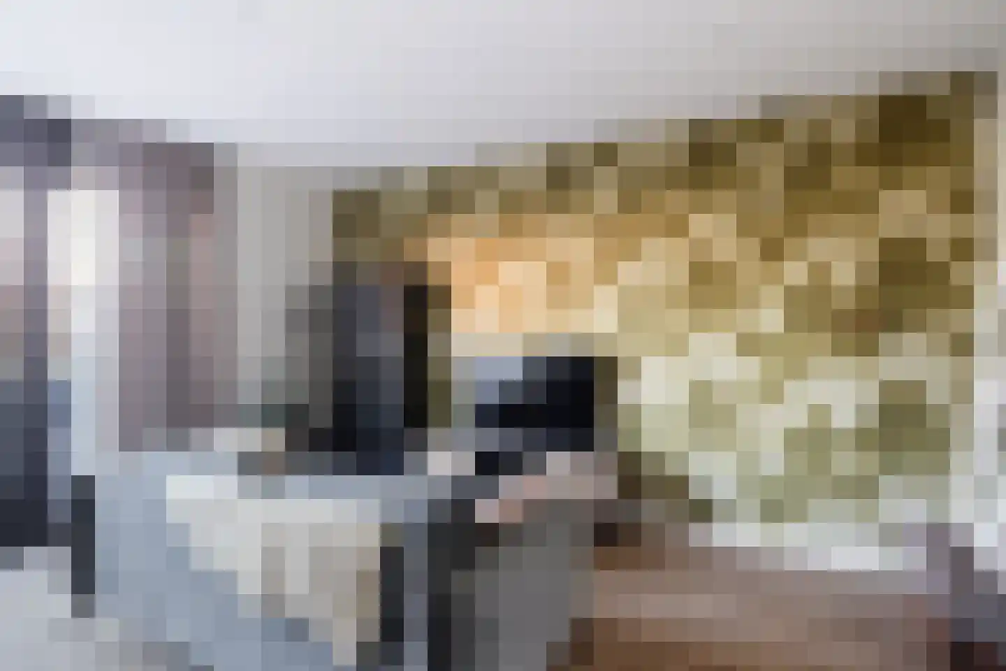 Gerritje van Beekstraat 5 Putten thumbnail 10