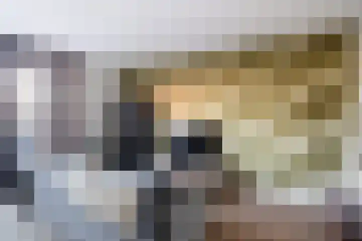 Gerritje van Beekstraat 5 Putten thumbnail 12