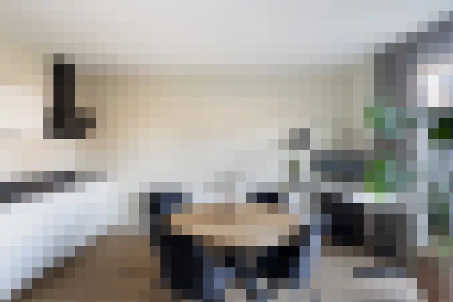Gerritje van Beekstraat 5 Putten thumbnail 15