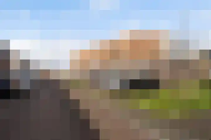 Gerritje van Beekstraat 5 Putten thumbnail 34