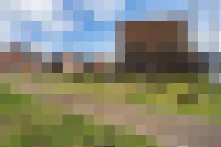 Gerritje van Beekstraat 5 Putten thumbnail 40