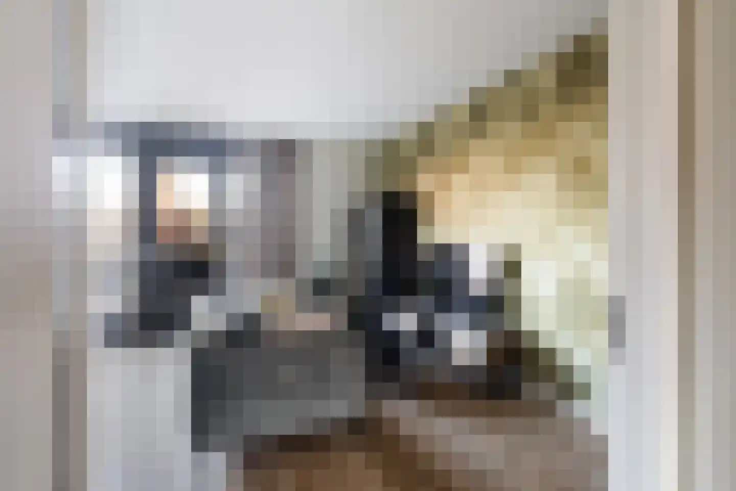 Gerritje van Beekstraat 5 Putten thumbnail 8