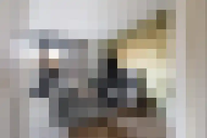 Gerritje van Beekstraat 5 Putten thumbnail 8
