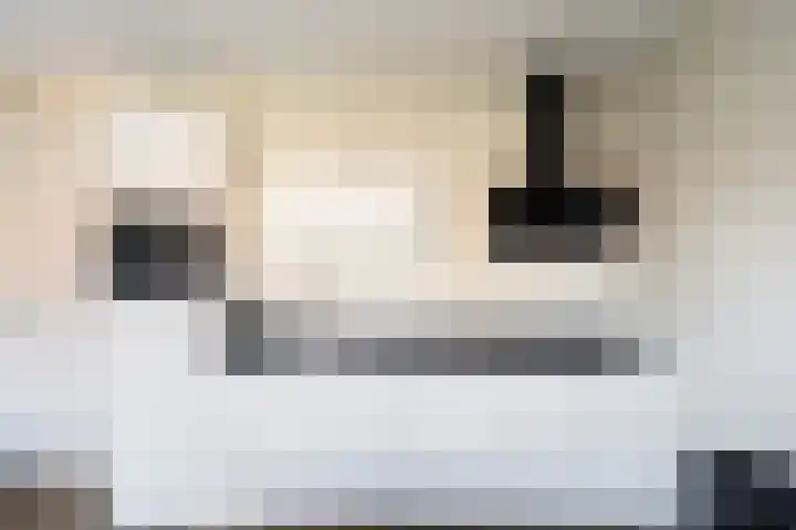 Gerritje van Beekstraat 5 Putten thumbnail 9