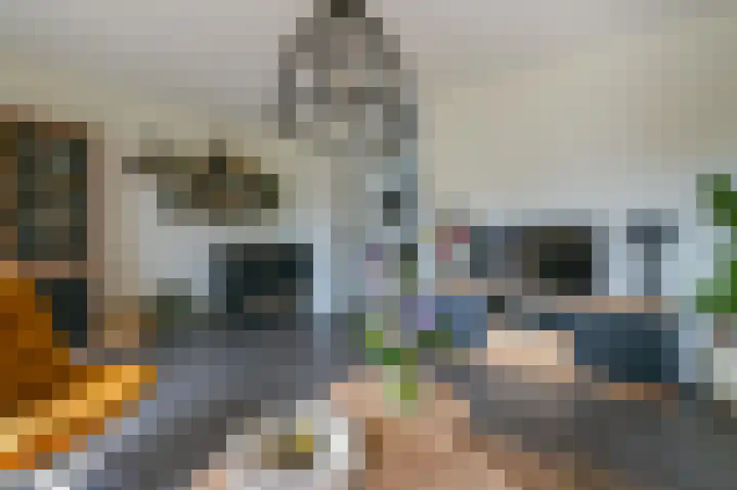 Gerritje van Beekstraat 7 Putten thumbnail 12